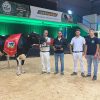 Exploração da Murtosa é Campeã Nacional da Raça Holstein Frísia