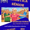 Junta da Murtosa promove Ginástica Sénior