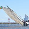 Murtosa recebe primeira regata com embarcações distinguidas pela UNESCO