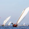 Pereginos “à Vela” passam pela Murtosa