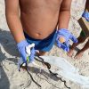 Jovens limparam a Praia da Torreira