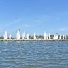 Murtosa viveu mais uma emocionante regata de Bateiras à Vela