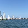 S. Paio recebeu a tão esperada Regata de Moliceiros